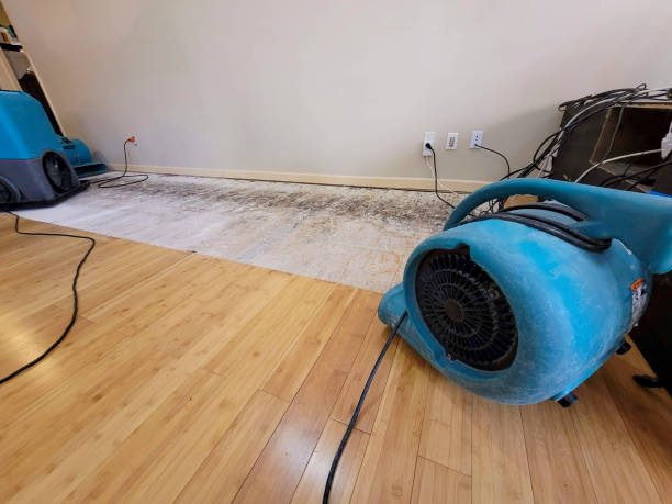 Professional Sewage Cleanup technician working in Omaha, TX